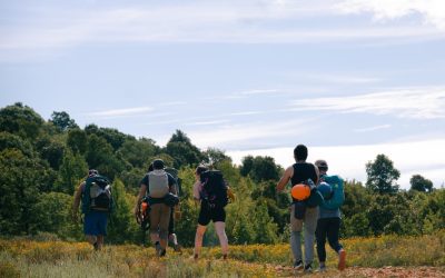 Transformative Travel: Discovering Yourself Through Group Adventures