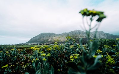 Transform Your Life Through Women-Only Group Travel