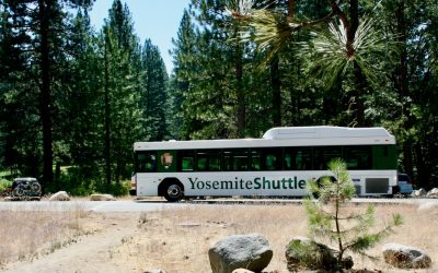 How to Book Safe and Reliable Airport Transfers Abroad
