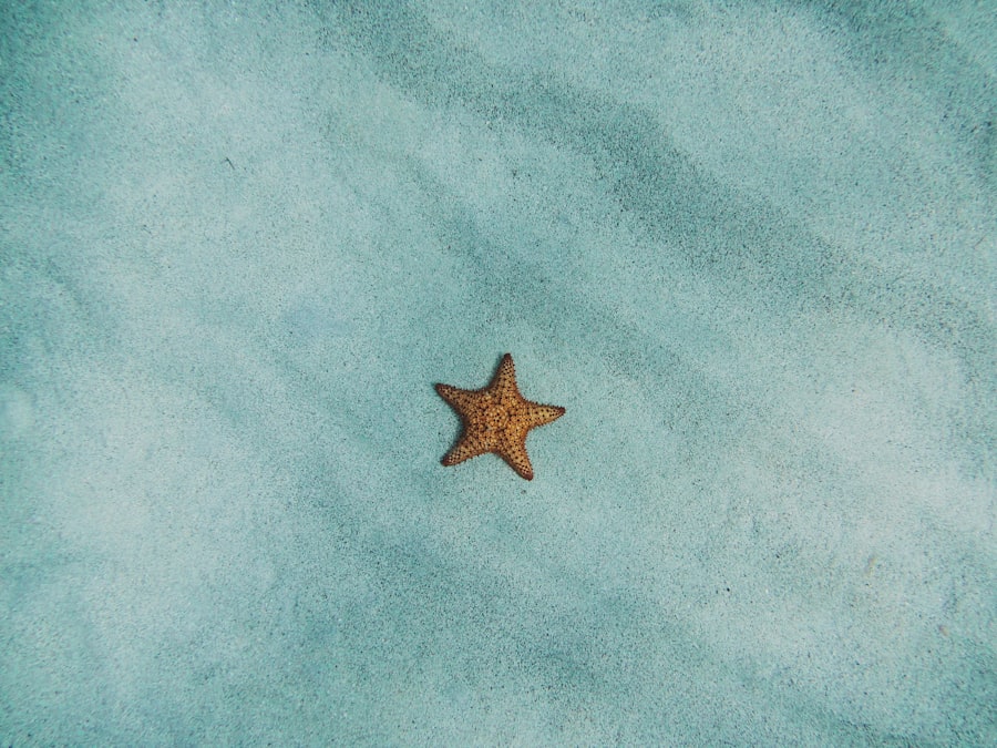 Photo Beach  
